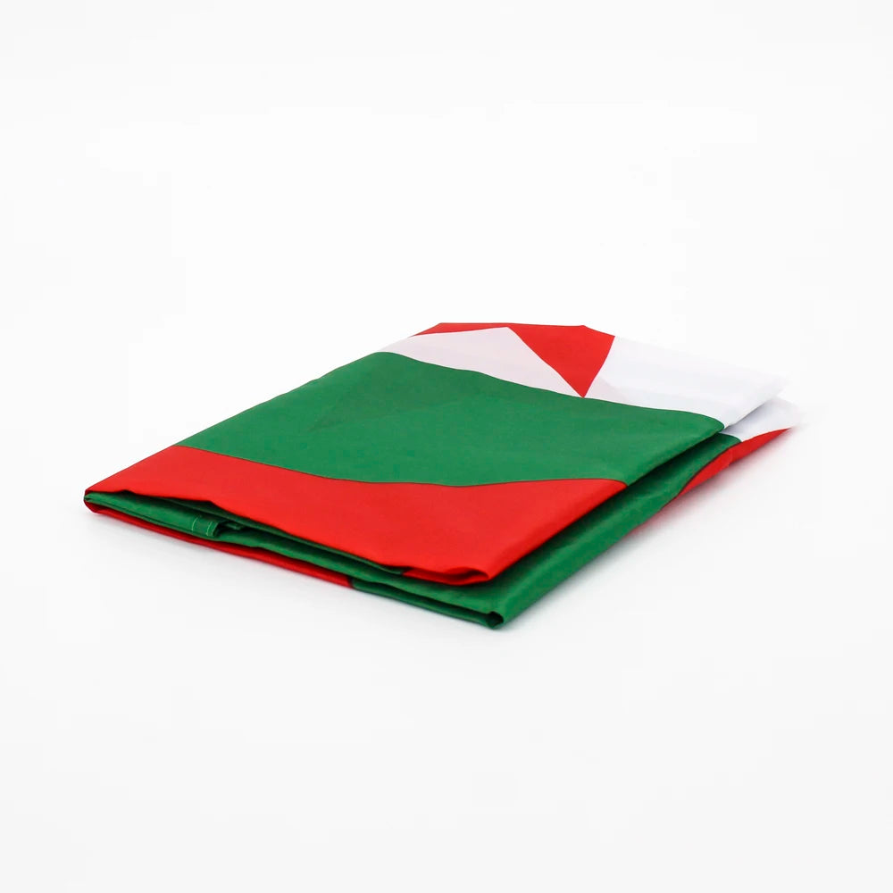 FLAGHUB 60X90 90X150cm Algeria Flag National Banner Office Activity Parade For Decoration