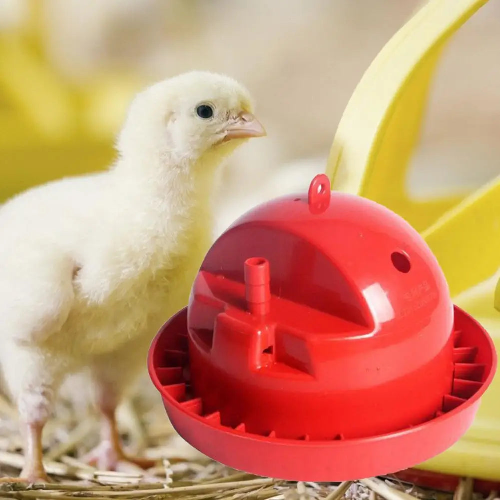 Water Drinker 5 Styles Poultry Waterer Pet Supplies Automatic Durable High Capacity Water Feeder