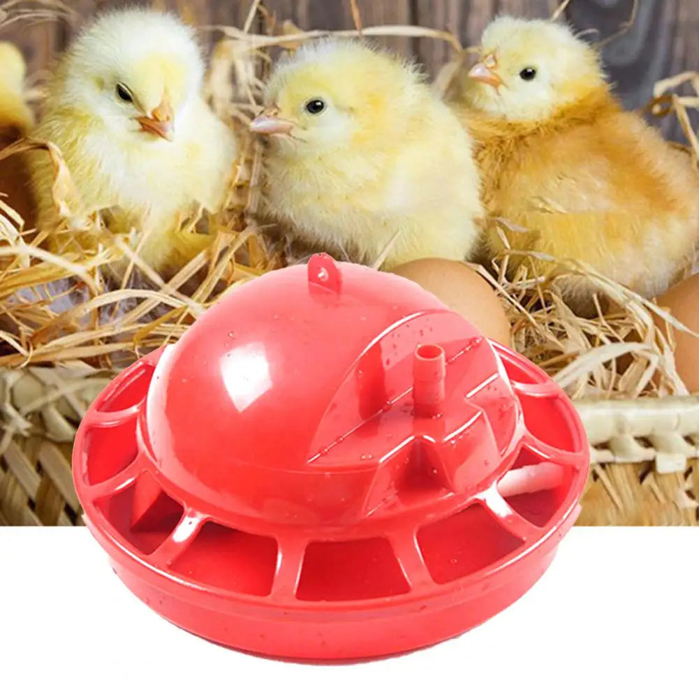 Water Drinker 5 Styles Poultry Waterer Pet Supplies Automatic Durable High Capacity Water Feeder