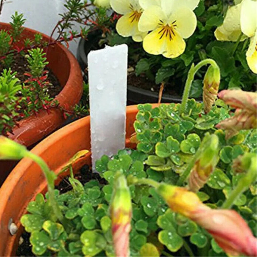 100PCS White Waterproof Plant Labels Plastic Garden Labels For Planting Nursery Seedling Tray Markers DIY Garden Decorating Tool