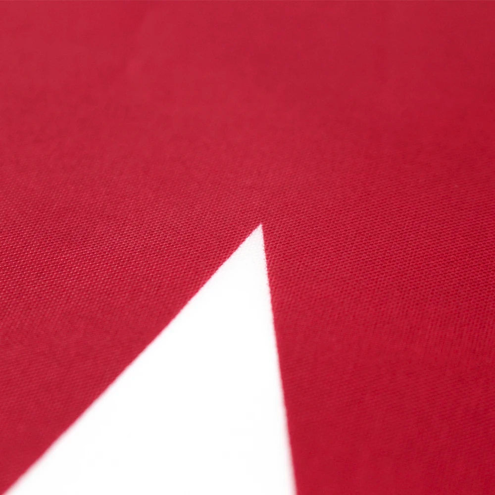 FLAGLINK 90x150 CM Qatar Flag For Decoration