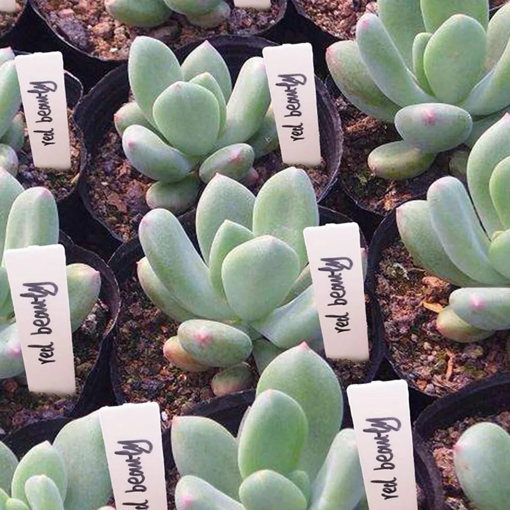 100PCS White Waterproof Plant Labels Plastic Garden Labels For Planting Nursery Seedling Tray Markers DIY Garden Decorating Tool