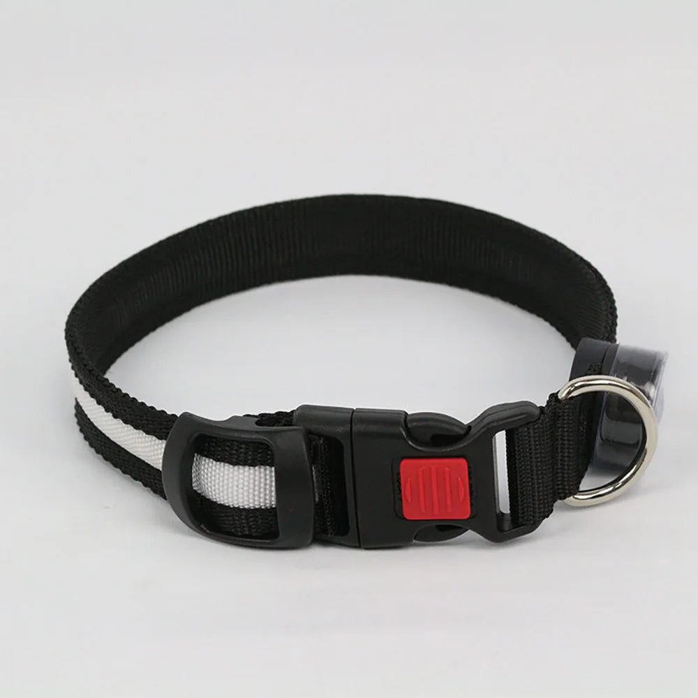 48648960311582|48648960344350|48648960377118