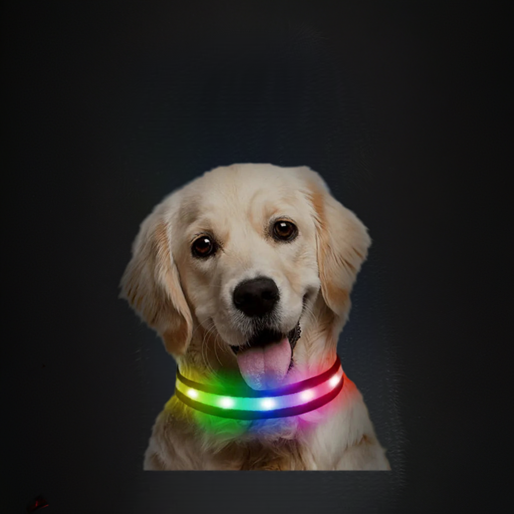 1 pc,Light up Dog Collar for Night Walking - LED Dog Collar Light Rechargeable Color Changing, Glow in The Dark Dog Collars