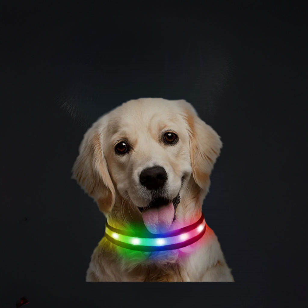 1 pc,Light up Dog Collar for Night Walking - LED Dog Collar Light Rechargeable Color Changing, Glow in The Dark Dog Collars