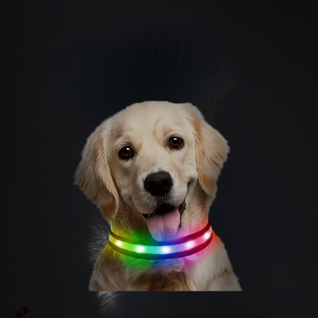 1 pc,Light up Dog Collar for Night Walking - LED Dog Collar Light Rechargeable Color Changing, Glow in The Dark Dog Collars