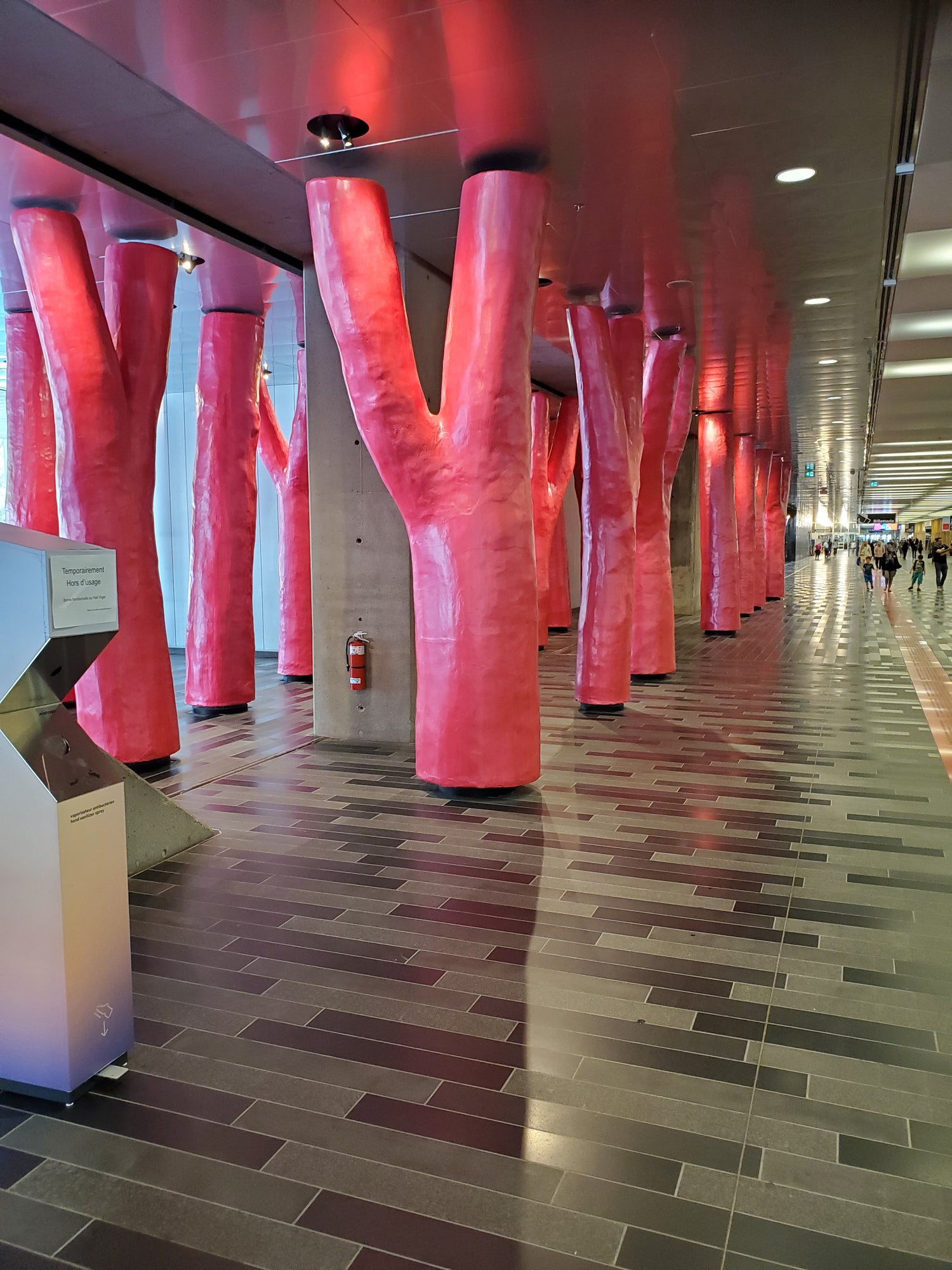 Educational Technology Supplies