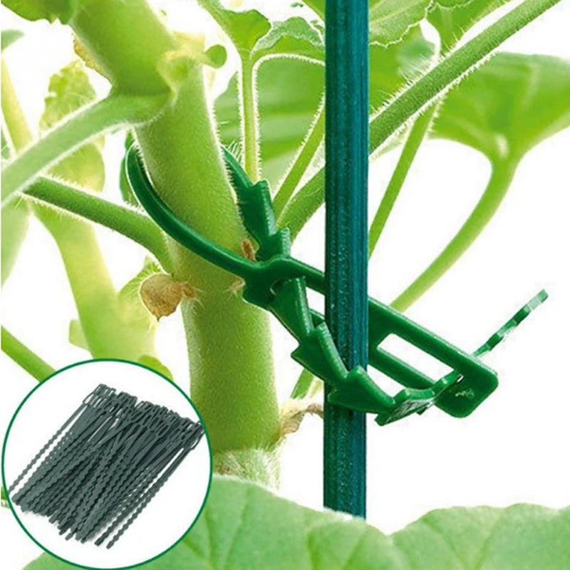 50pcs Plastic Plant Cable Ties Reusable Cable Ties for Garden Tree Climbing Support Adjustable Garden plant Tying Tool