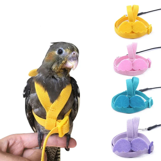 Parrot Flying Harness Leash Suit Pet Bird Outdoor Flight Training Rope Cockatiel Supplies Macaw Accessories  Stuff For Budgie