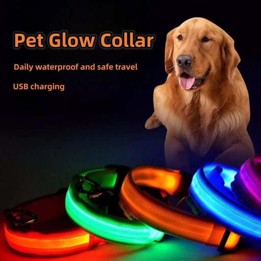 Pet luminous collar, mascot for dogs and cats, used for safe outdoor travel of dogs at night, LED light USB charging for outdoor