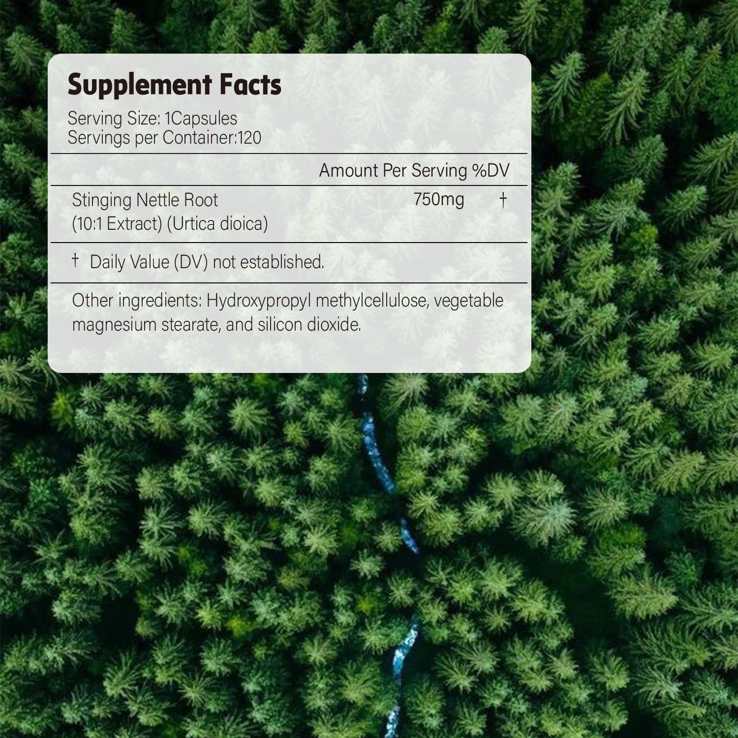 Nettle Root Extract - Promotes Prostate and Urinary Tract Health, Relieves Urinary Frequency