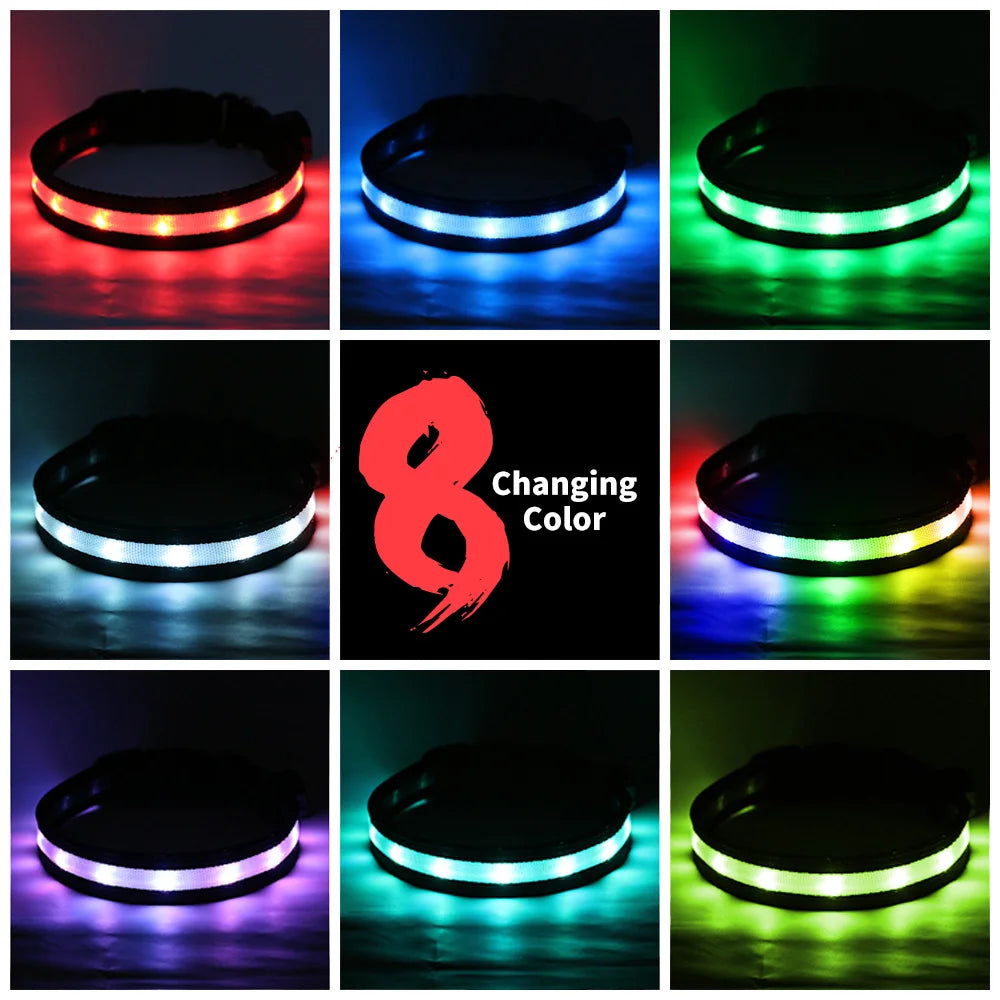 1 pc,Light up Dog Collar for Night Walking - LED Dog Collar Light Rechargeable Color Changing, Glow in The Dark Dog Collars