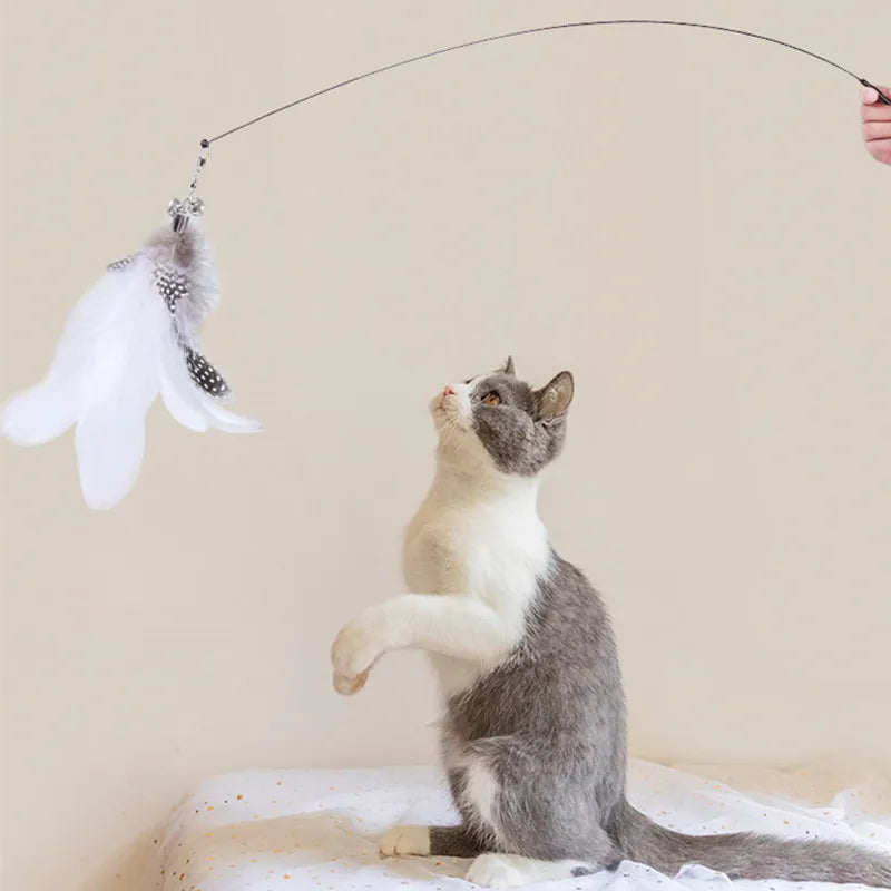 Cat Toys Interactive Cat Toy Steel Wire Feather Toys for Cats Stick Suction Cup Feather Cats Toy with Bell Teaser Pet Products