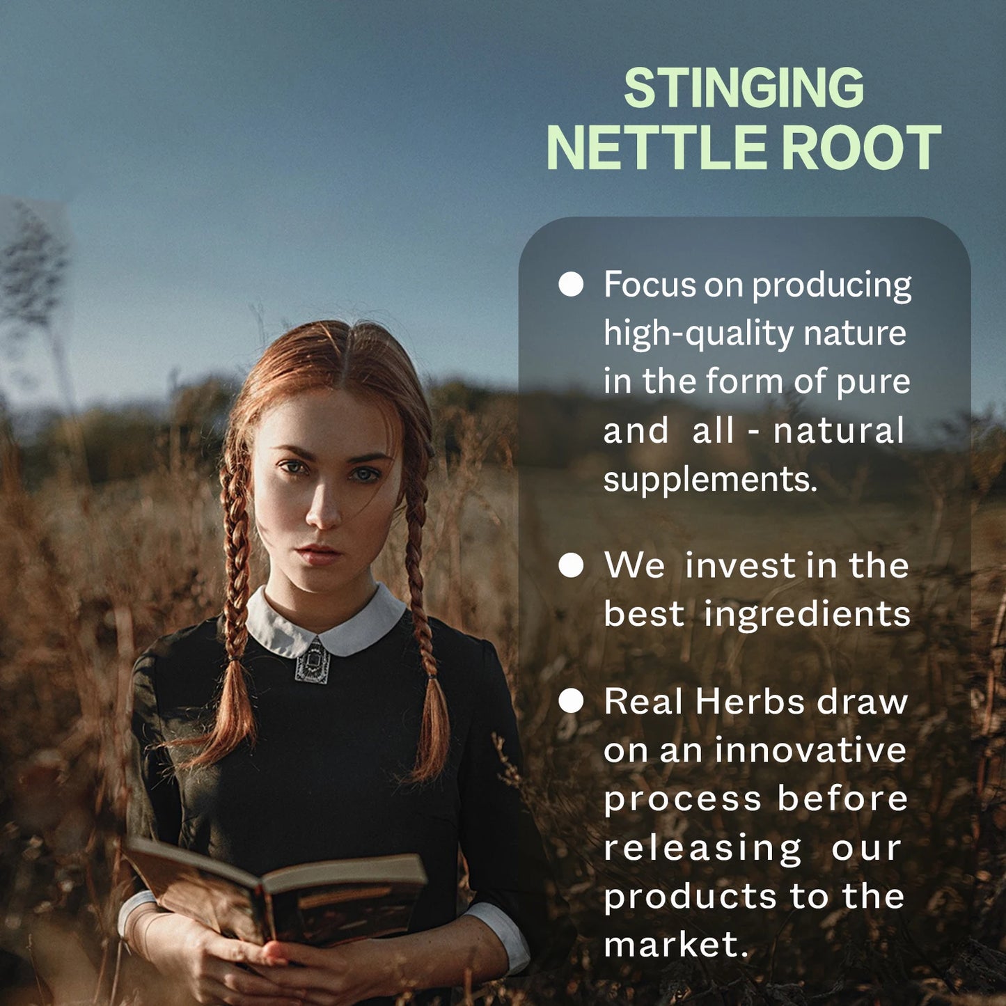 Nettle Root Extract - Promotes Prostate and Urinary Tract Health, Relieves Urinary Frequency