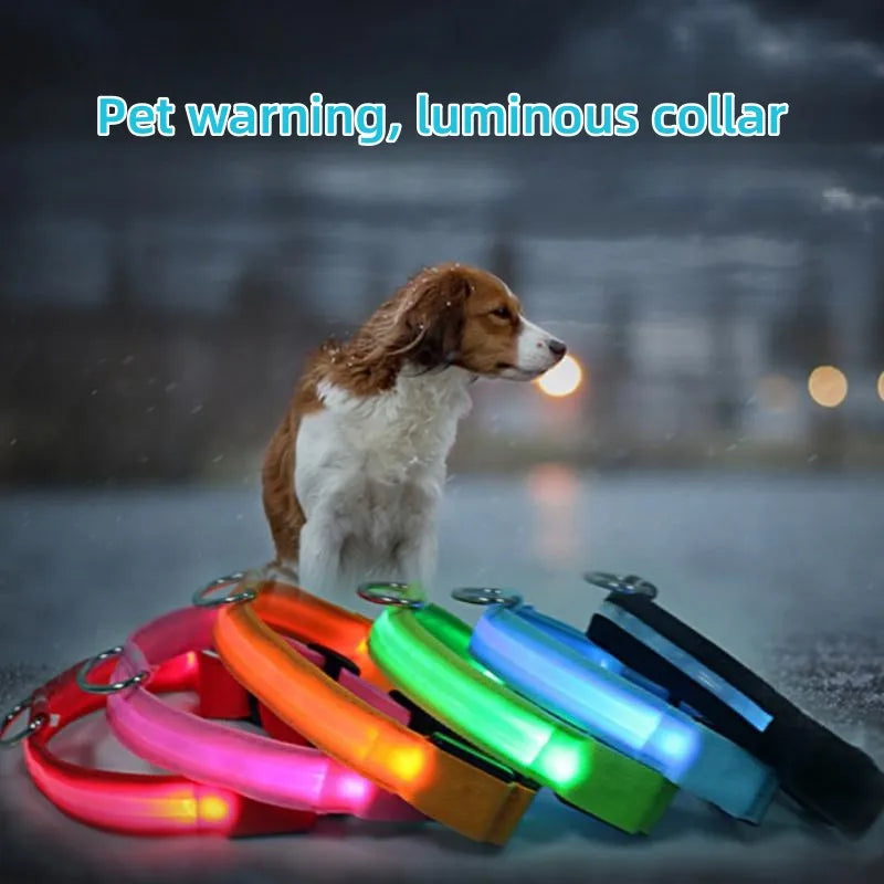 Pet luminous collar, mascot for dogs and cats, used for safe outdoor travel of dogs at night, LED light USB charging for outdoor