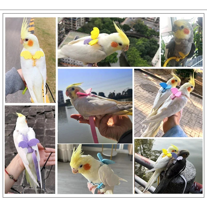 Parrot Flying Harness Leash Suit Pet Bird Outdoor Flight Training Rope Cockatiel Supplies Macaw Accessories  Stuff For Budgie