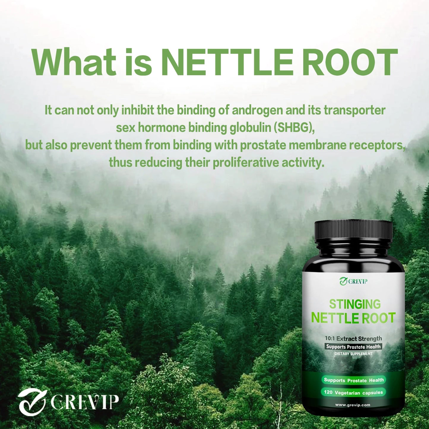 Nettle Root Extract - Promotes Prostate and Urinary Tract Health, Relieves Urinary Frequency